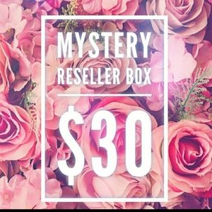 Mystery Resellers Box!